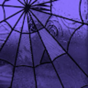 Meet your Posher, Rosalie